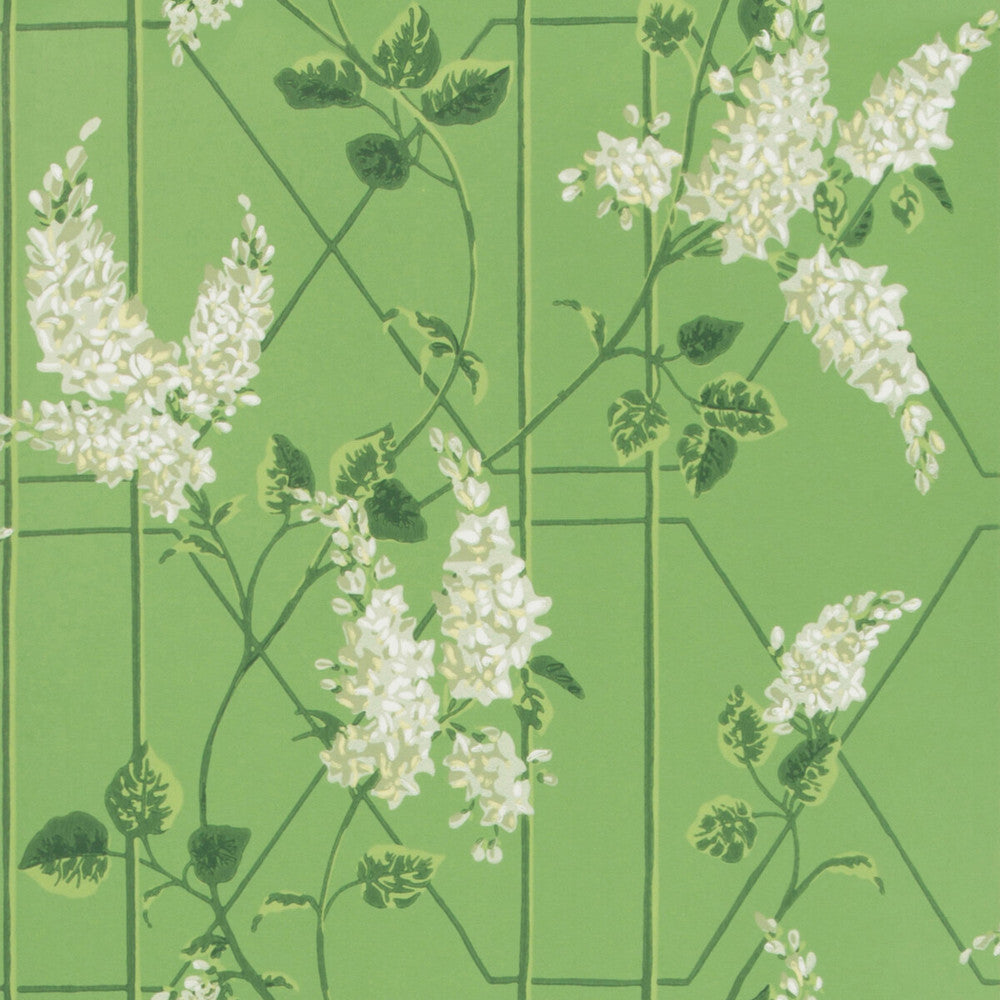 Wisteria Sage/Leaf Green by Cole & Son Designer Wallcovering COLE & SON BOTANICAL BOTANICA PAPER - 100% United Kingdom Horizontal: 20.5 and Vertical: 20.5 20.5 - Swanky Fabrics -