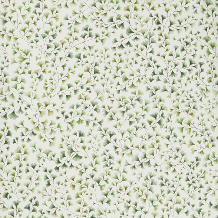 Maidenhair Olive by Cole & Son Wallcovering Cole & Son Wallcovering Maidenhair OliveWallcovering COLE & SON BOTANICAL BOTANICA PAPER - 100% United Kingdom </p><p>Repeat: H: , V: 20.5 20.5 - Fabric Carolina -