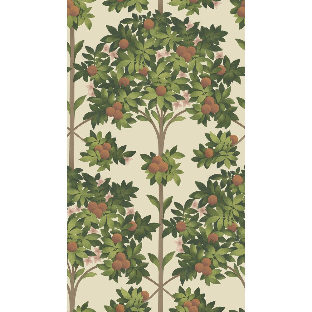 Orange Blossom Orange & Spring Green/Parch by Cole & Son Designer Wallcovering COLE & SON SEVILLE NON WOVEN - 100% United Kingdom Horizontal: 20.5 and Vertical: 35.9 20.5 - Swanky Fabrics -