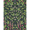 Cole & Son Wallpaper Jasmine & Serin Symphony Rose/Grn/Viridian