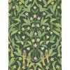 Cole & Son Wallpaper Jasmine & Serin Symphony Yellow/Grn/Forest
