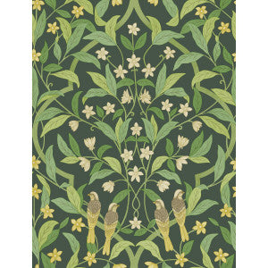 Cole & Son Wallpaper Jasmine & Serin Symphony Yellow/Grn/Forest