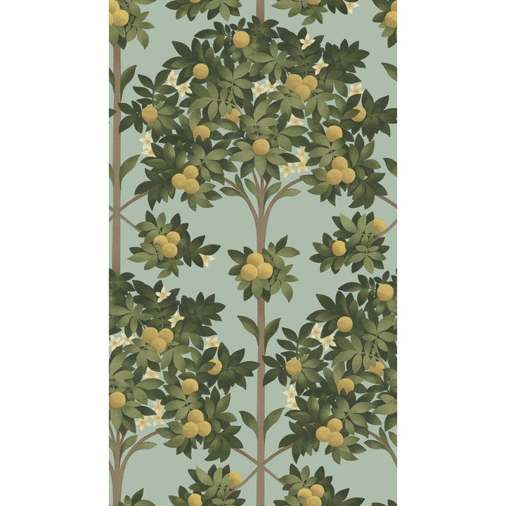 Orange Blossom Lemon/Dk Olive Grn/Duck Egg by Cole & Son Wallcovering Cole & Son Wallcovering Orange Blossom Lemon/Dk Olive Grn/Duck EggWallcovering COLE & SON SEVILLE NON WOVEN - 100% United Kingdom </p><p>Repeat: H: 20.5, V: 35.9 20.5 - Fabric Carolina -