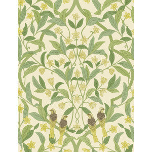 Cole & Son Wallpaper Jasmine & Serin Symphony Chartreuse/Grn/Wt