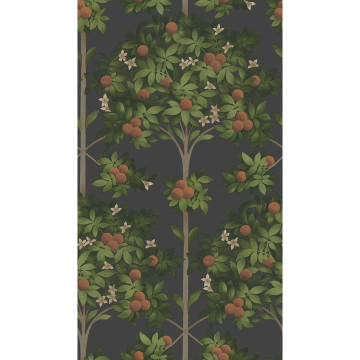 Orange Blossom Orange & Spring Green/Black by Cole & Son Wallcovering Cole & Son Wallcovering Orange Blossom Orange & Spring Green/BlackWallcovering COLE & SON SEVILLE NON WOVEN - 100% United Kingdom </p><p>Repeat: H: 20.5, V: 35.9 20.5 - Fabric Carolina -