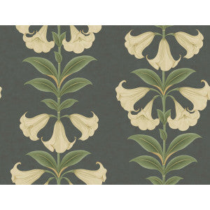 Cole & Son Wallpaper Angels Trumpet Cream/Olive Green/Charcoal