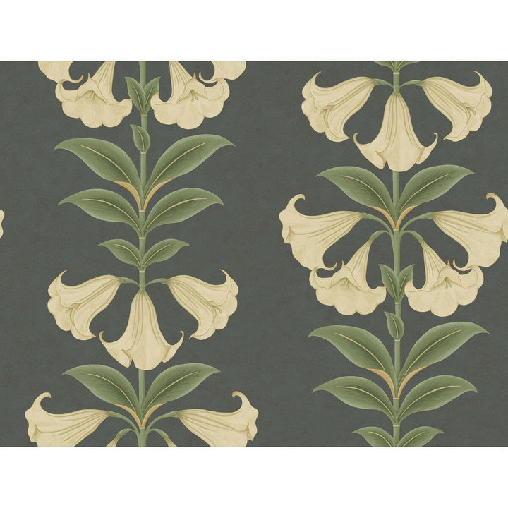 Angels Trumpet Cream/Olive Green/Charcoal by Cole & Son Designer Wallcovering COLE & SON SEVILLE NON WOVEN - 100% United Kingdom Horizontal: 27 and Vertical: 20.5 27 - Swanky Fabrics -