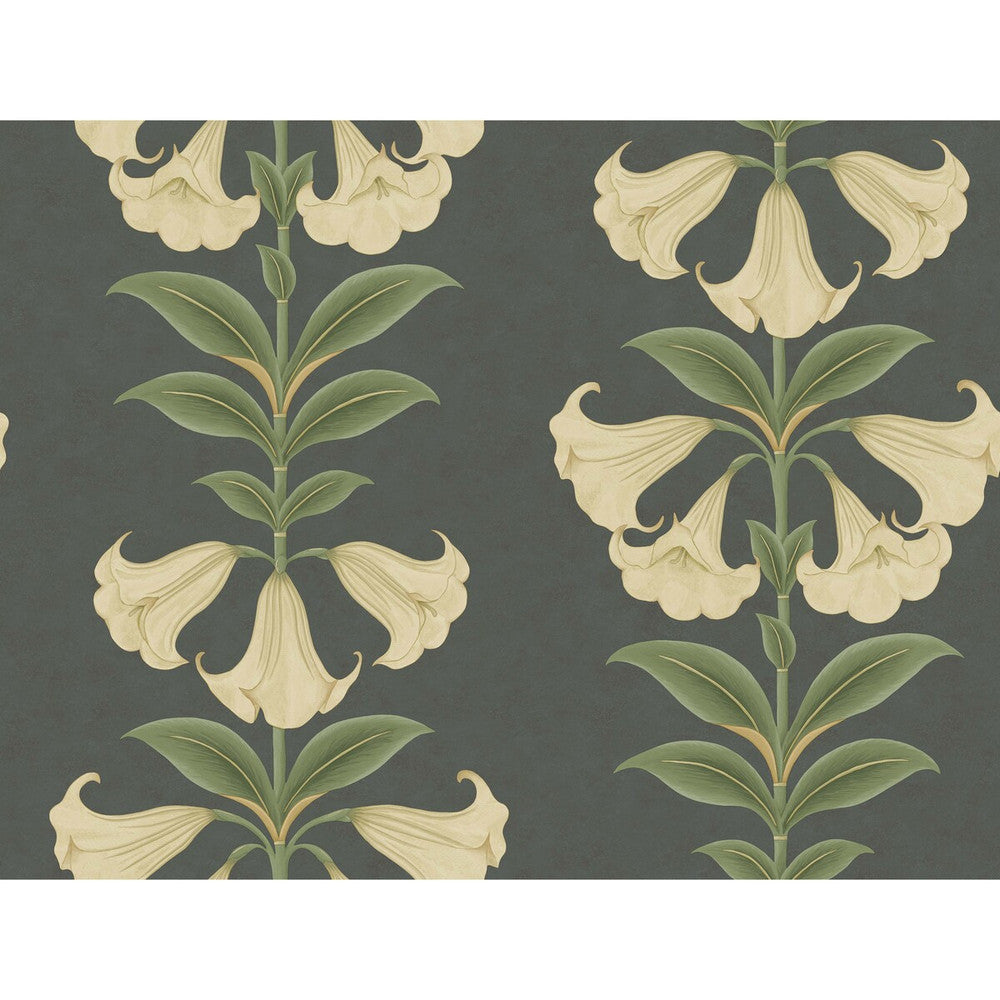 Angels Trumpet Cream/Olive Green/Charcoal by Cole & Son Wallcovering Cole & Son Wallcovering Angels Trumpet Cream/Olive Green/CharcoalWallcovering COLE & SON SEVILLE NON WOVEN - 100% United Kingdom </p><p>Repeat: H: 27, V: 20.5 27 - Fabric Carolina -