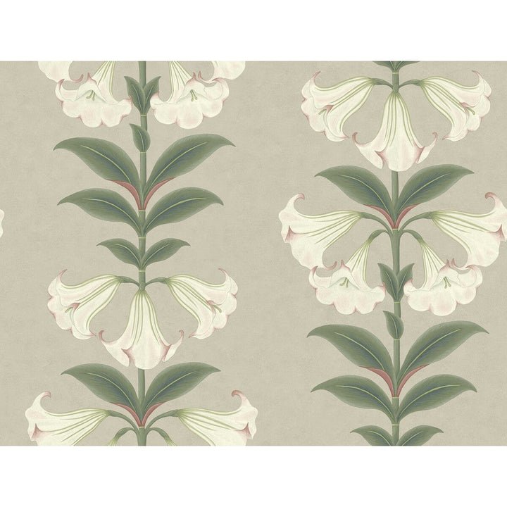 Angels Trumpet Chalk & Sage On Stone by Cole & Son Wallcovering Cole & Son Wallcovering Angels Trumpet Chalk & Sage On StoneWallcovering COLE & SON SEVILLE NON WOVEN - 100% United Kingdom </p><p>Repeat: H: 27, V: 20.5 27 - Fabric Carolina -