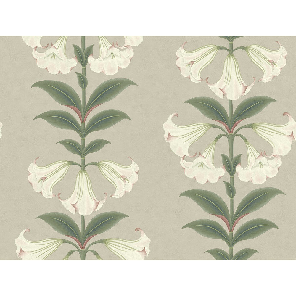 Angels Trumpet Chalk & Sage On Stone by Cole & Son Designer Wallcovering COLE & SON SEVILLE NON WOVEN - 100% United Kingdom Horizontal: 27 and Vertical: 20.5 27 - Swanky Fabrics -