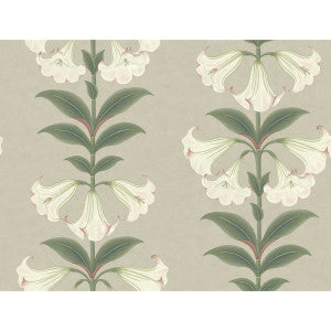 Cole & Son Wallpaper Angels Trumpet Chalk & Sage On Stone