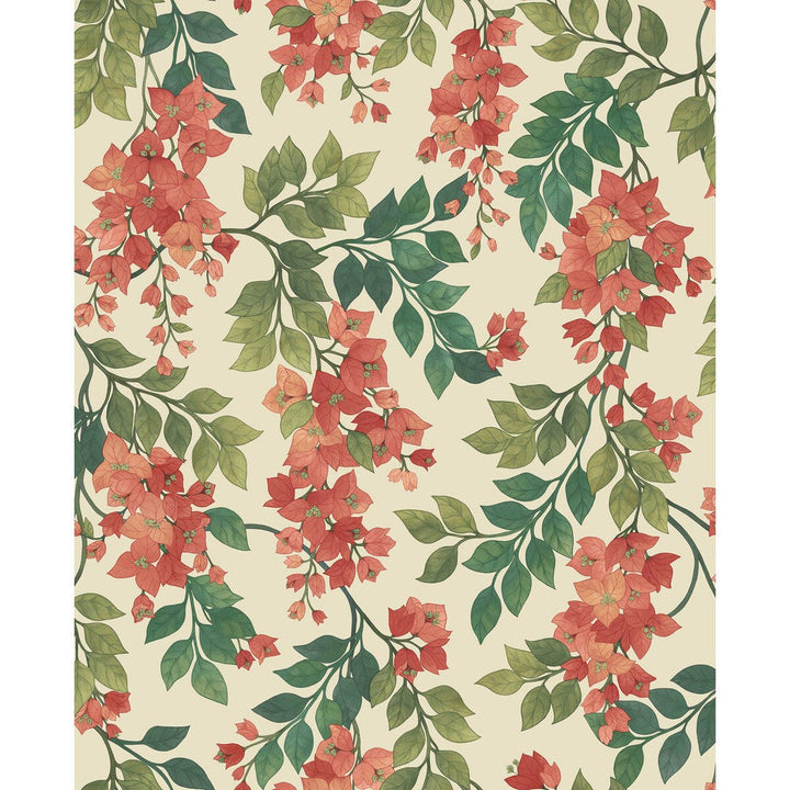 Bougainvillea Rouge/Olive Grn/Emerald/Crm by Cole & Son Wallcovering Cole & Son Wallcovering Bougainvillea Rouge/Olive Grn/Emerald/CrmWallcovering COLE & SON SEVILLE NON WOVEN - 100% United Kingdom </p><p>Repeat: H: 20.5, V: 25.2 20.5 - Fabric Carolina -