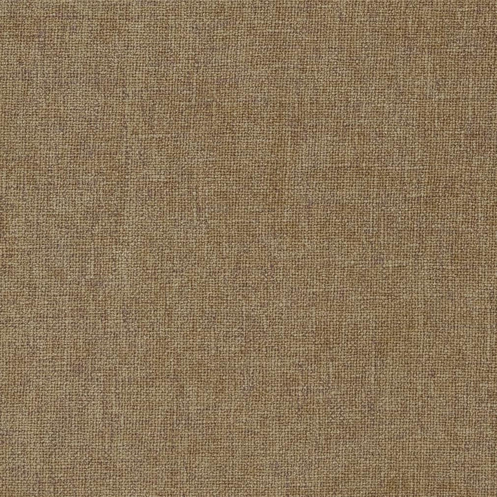 1186 Sand by Charlotte Designer Fabric Ring Book Page #14A 82% Polyester, 18% Rayon Asia Exceeds 120,000 Wyzenbeek Rubs (Heavy Duty) No Repeat 54 Inches - Swanky Fabrics -