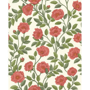 Cole & Son Wallpaper Hampton Roses R&Sgrn/Pmnt