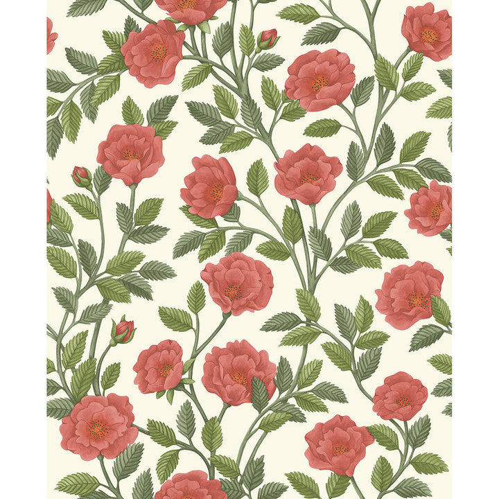 Hampton Roses R&Sgrn/Pmnt by Cole & Son Designer Wallcovering COLE & SON HISTORIC ROYAL PALACES-GREAT MASTERS NON WOVEN - 100% United Kingdom Horizontal: 20.5 and Vertical: 25.2 20.5 - Swanky Fabrics -