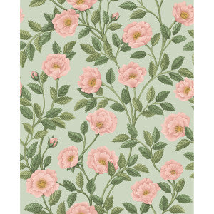 Cole & Son Wallpaper Hampton Roses R&Lgrn/Degg