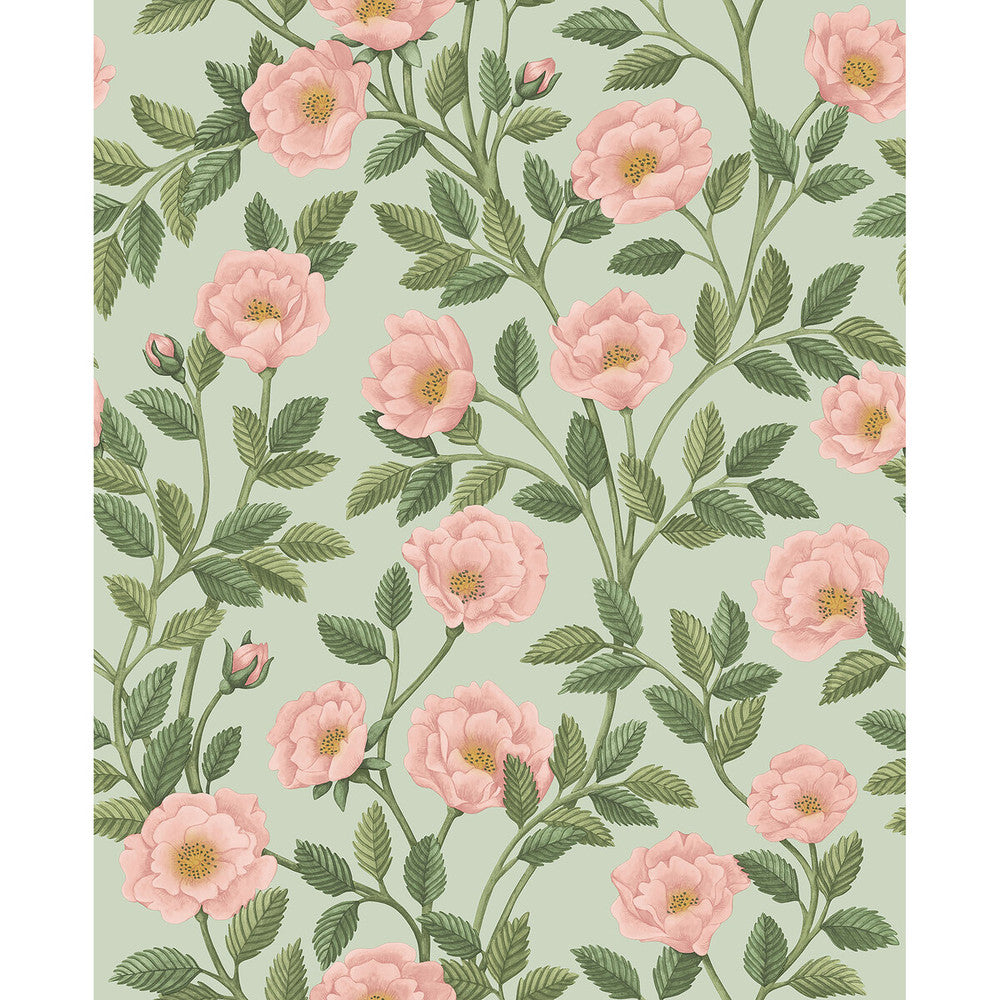 Hampton Roses R&Lgrn/Degg by Cole & Son Wallcovering Cole & Son Wallcovering Hampton Roses R&Lgrn/DeggWallcovering COLE & SON HISTORIC ROYAL PALACES-GREAT MASTERS NON WOVEN - 100% United Kingdom </p><p>Repeat: H: 20.5, V: 25.2 20.5 - Fabric Carolina -