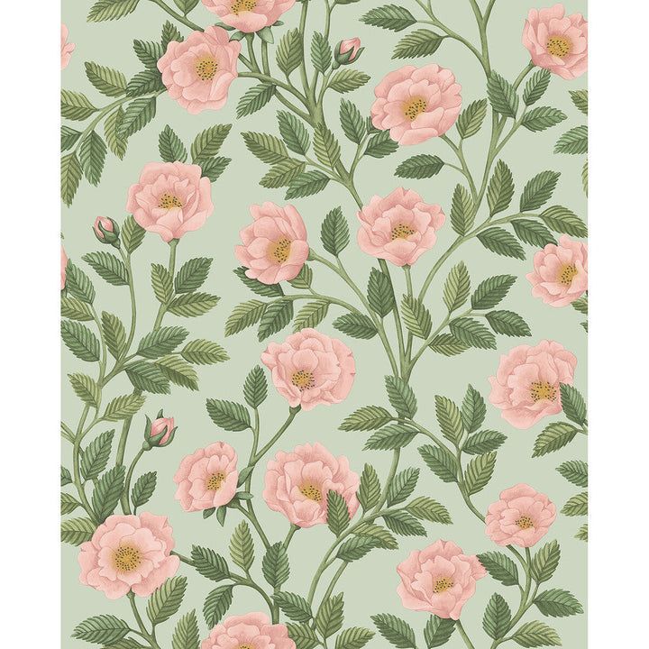 Hampton Roses R&Lgrn/Degg by Cole & Son Designer Wallcovering COLE & SON HISTORIC ROYAL PALACES-GREAT MASTERS NON WOVEN - 100% United Kingdom Horizontal: 20.5 and Vertical: 25.2 20.5 - Swanky Fabrics -