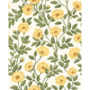 Cole & Son Wallpaper Hampton Roses Mrg&Ogrn/Wh