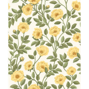 Cole & Son Wallpaper Hampton Roses Mrg&Ogrn/Wh