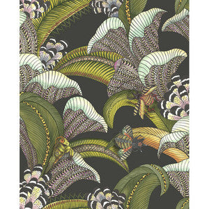 Cole & Son Wallpaper Hoopoe Leaves Olive Black