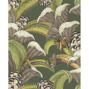 Cole & Son Wallpaper Hoopoe Leaves Spring Green And Coral