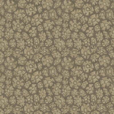 119/4020.CS.0 by Cole & Son Wallcovering Cole & Son Wallcovering 119/4020.CS.0Wallcovering COLE & SON ARDMORE-JABULA NON WOVEN - 100% United Kingdom </p><p>Repeat: H: 20.5, V: 20.5 20.5 - Fabric Carolina -