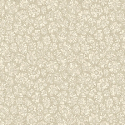 119/4021.CS.0 by Cole & Son Wallcovering Cole & Son Wallcovering 119/4021.CS.0Wallcovering COLE & SON ARDMORE-JABULA NON WOVEN - 100% United Kingdom </p><p>Repeat: H: 20.5, V: 20.5 20.5 - Fabric Carolina -