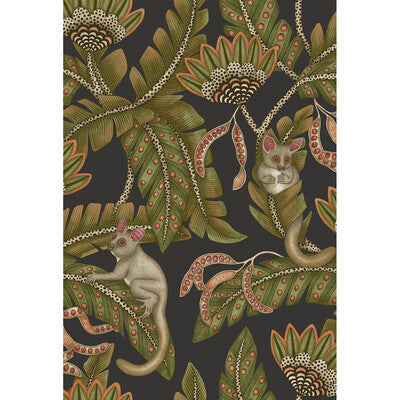 119/7031.CS.0 by Cole & Son Wallcovering Cole & Son Wallcovering 119/7031.CS.0Wallcovering COLE & SON ARDMORE-JABULA NON WOVEN - 100% United Kingdom </p><p>Repeat: H: 20.5, V: 30 20.5 - Fabric Carolina -