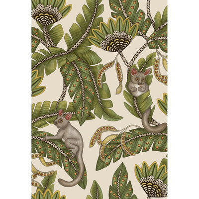 119/7032.CS.0 by Cole & Son Wallcovering Cole & Son Wallcovering 119/7032.CS.0Wallcovering COLE & SON ARDMORE-JABULA NON WOVEN - 100% United Kingdom </p><p>Repeat: H: 20.5, V: 30 20.5 - Fabric Carolina -