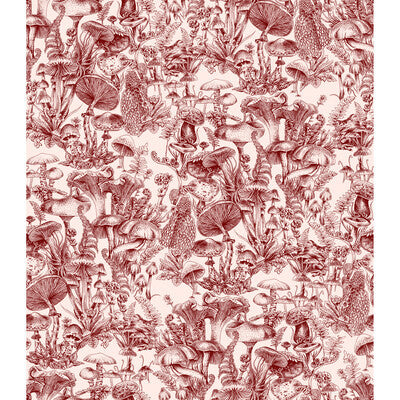 122/1001.CS.0 by Cole & Son Wallcovering Cole & Son Wallcovering 122/1001.CS.0Wallcovering STELLA MCCARTNEY X COLE & SON NON WOVEN - 100% United Kingdom </p><p>Repeat: H: 36.5, V: 42.1 36.5 - Fabric Carolina -