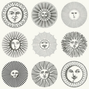 Cole & Son Wallpaper Soli Black & White 123/1001.CS.0