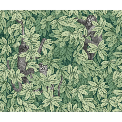 Cole & Son - Wallcovering - 123/10049.CS.0 - Wallcovering - NON WOVEN - 100% - United Kingdom </p><p>Repeat: H: , V: 27.5 21 - My Fabric Connection -