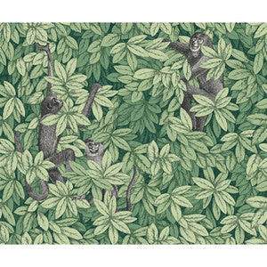 Cole & Son Wallpaper Foglie E Scimmie Green 123/10049.CS.0