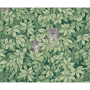 Cole & Son Wallpaper Foglie E Civette Green 123/11054.CS.0