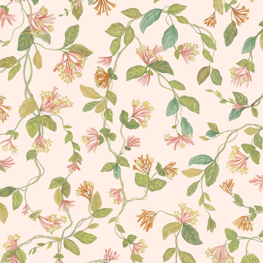 Cole & Son Wallcovering Pink/Orange