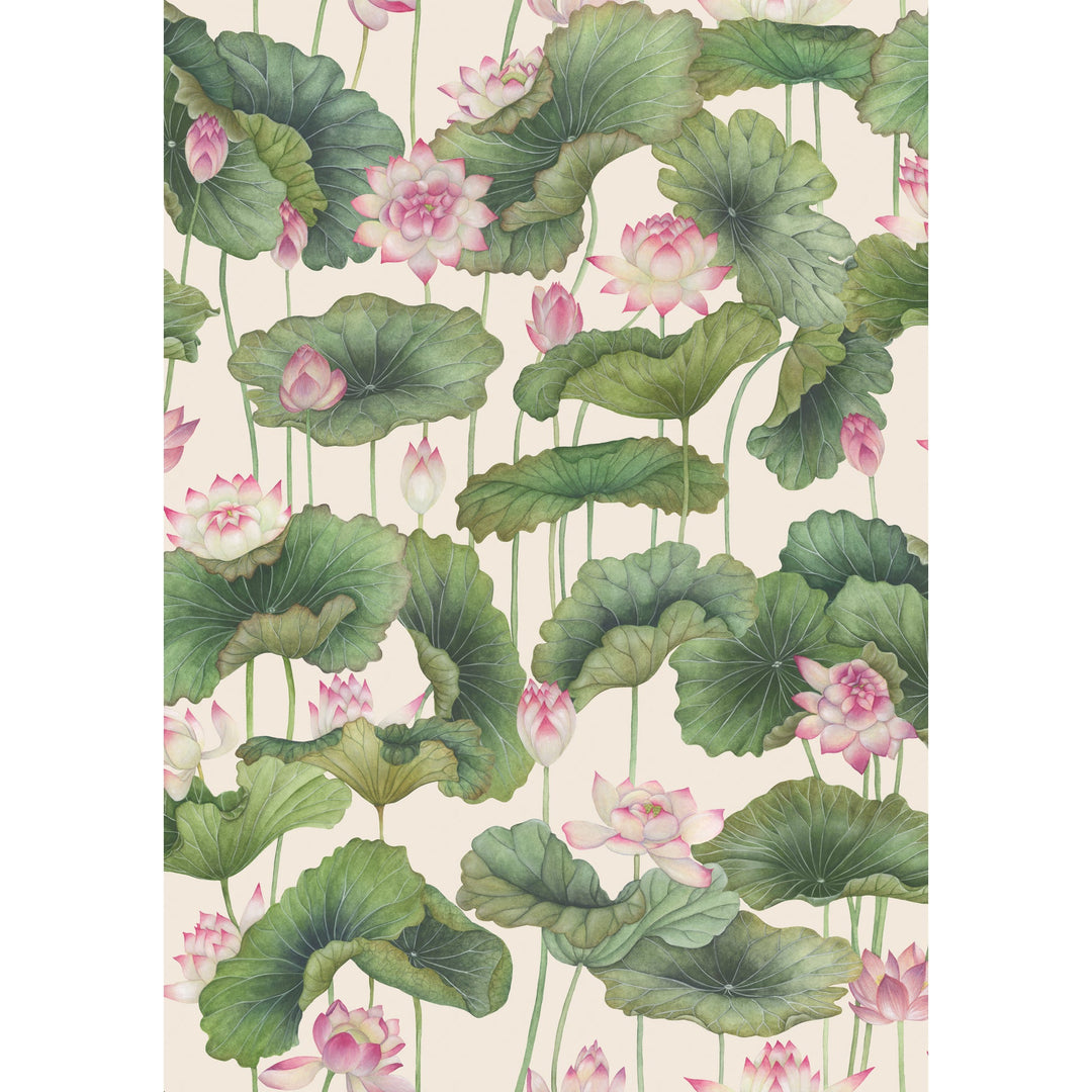 Cole & Son Wallcovering Pink