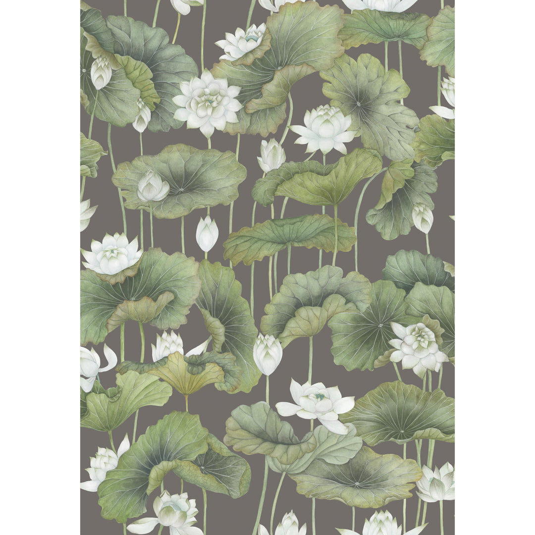 Cole & Son Wallcovering White/Charcoal
