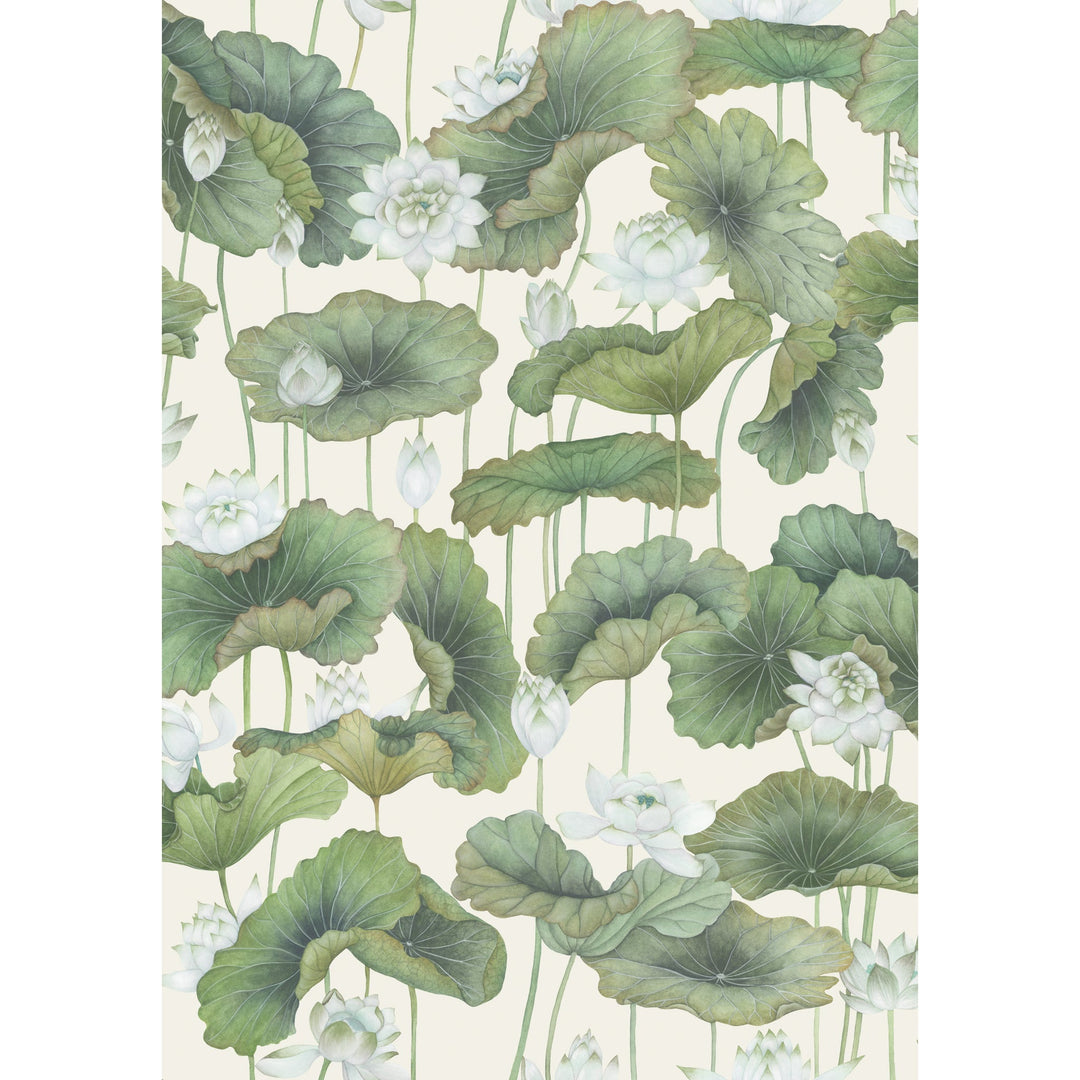 Cole & Son Wallcovering White/Cream