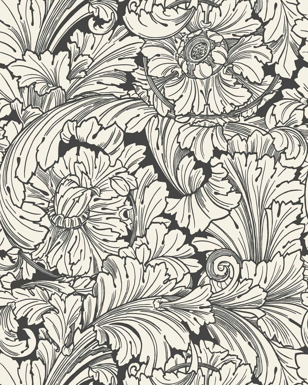 Cole & Son Wallcovering Soot/Snow
