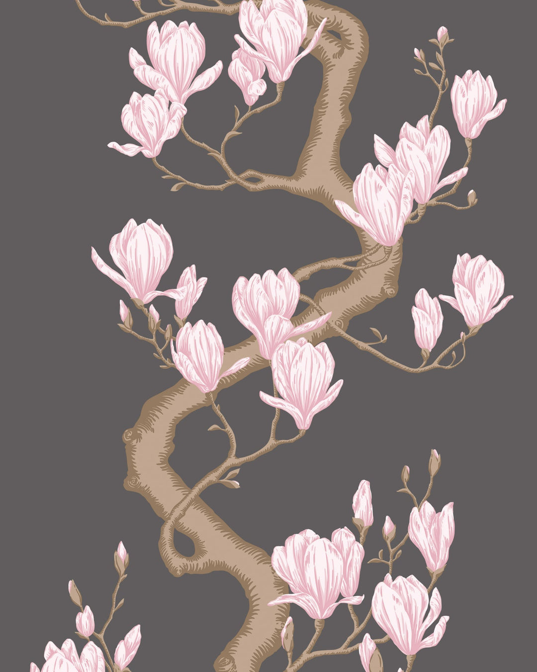 Cole & Son Wallcovering Charcoal/Pink