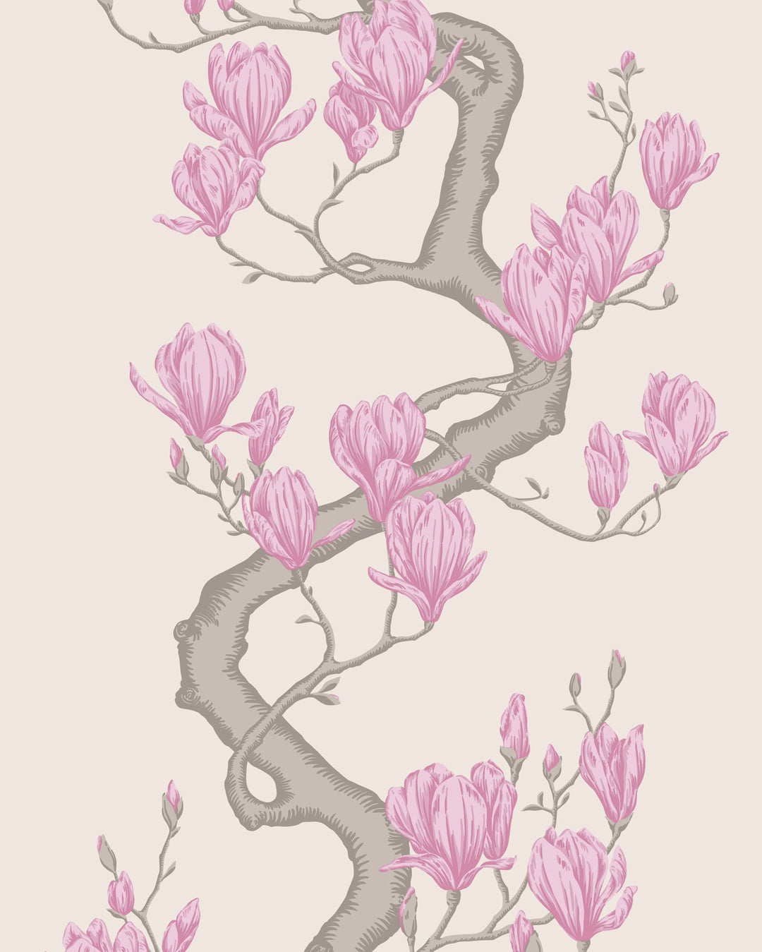 Cole & Son Wallcovering Parchment