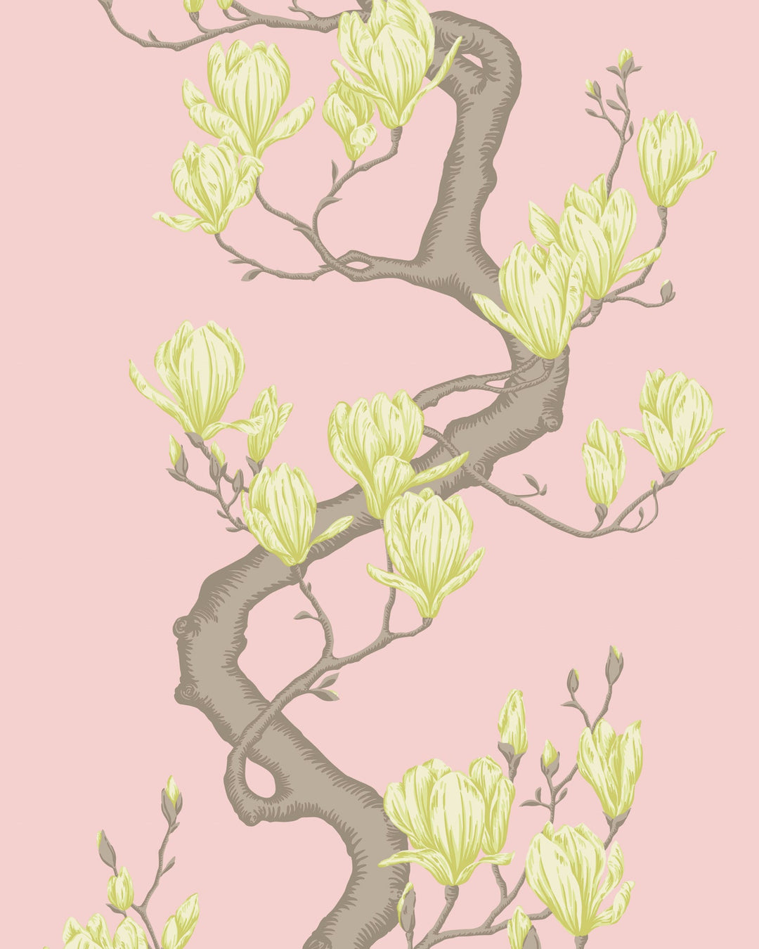 Cole & Son Wallcovering Rose Pink