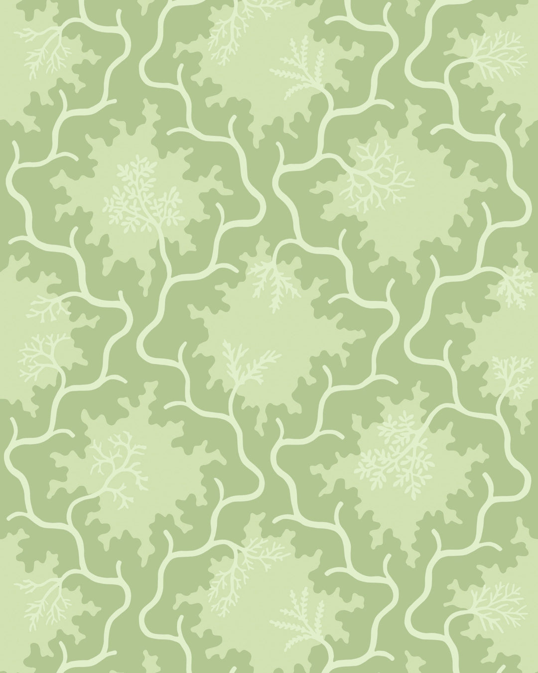 Cole & Son Wallcovering Matcha