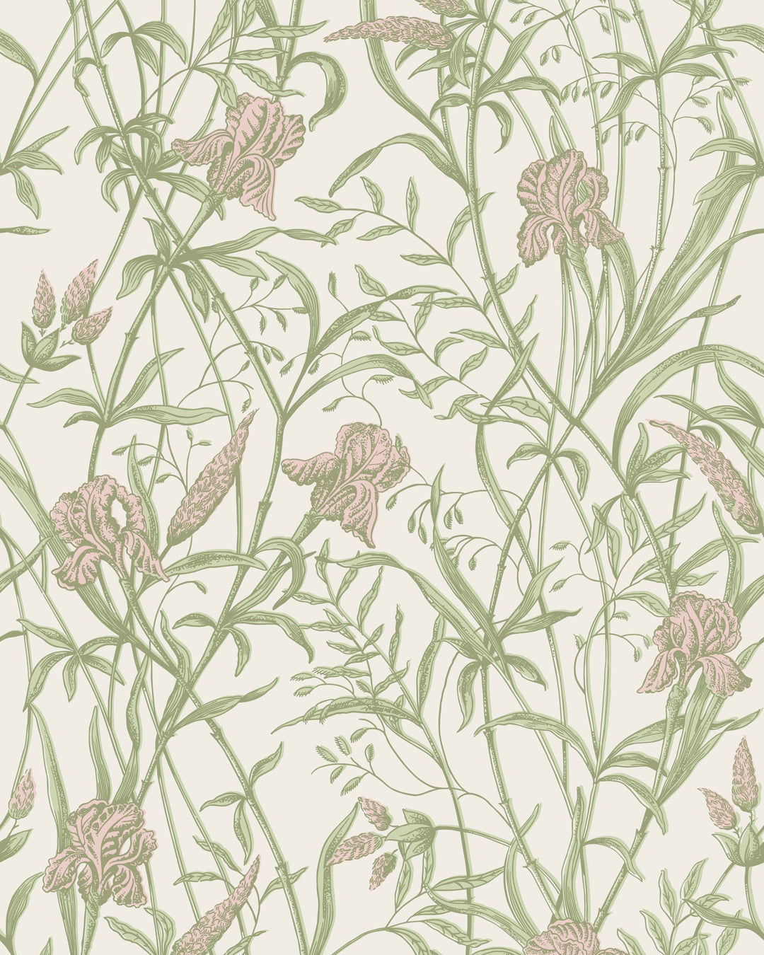 Cole & Son Wallcovering Soft Coral On Chalk