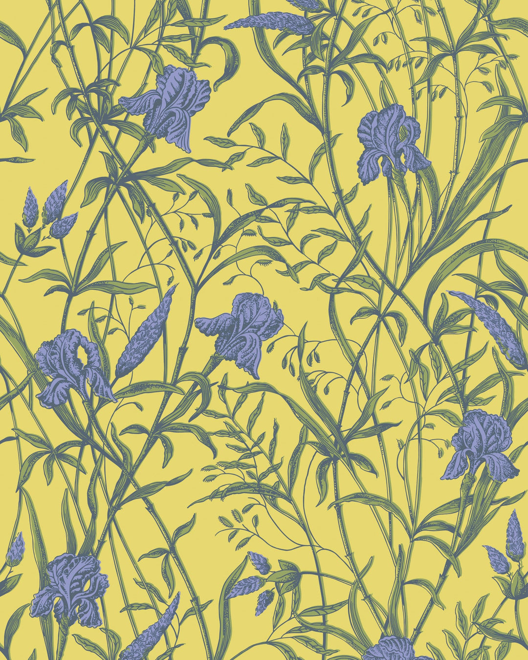 Cole & Son Wallcovering Violet On Citrine