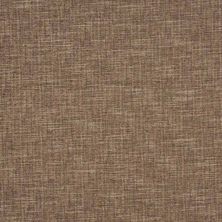 1322 Mesquite by Charlotte Designer Fabric Ring Book Page #32A 100% Woven Polyester Asia Exceeds 100,000 Wyzenbeek Rubs (Heavy Duty) No Repeat 54 Inches - Swanky Fabrics -