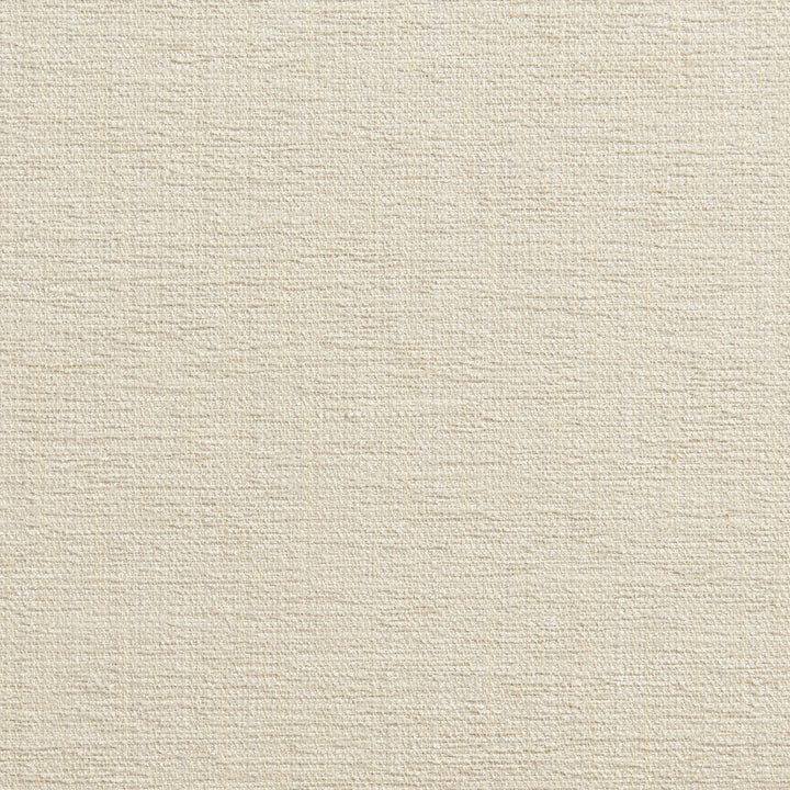 1323 Natural by Charlotte Designer Fabric Ring Book Page #32A 100% Woven Polyester Asia Exceeds 100,000 Wyzenbeek Rubs (Heavy Duty) No Repeat 54 Inches - Swanky Fabrics -