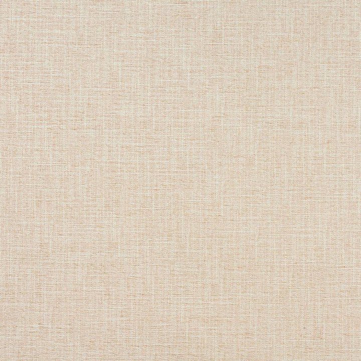 1328 Cream by Charlotte Designer Fabric Ring Book Page #32A 100% Woven Polyester Asia Exceeds 100,000 Wyzenbeek Rubs (Heavy Duty) No Repeat 54 Inches - Swanky Fabrics -