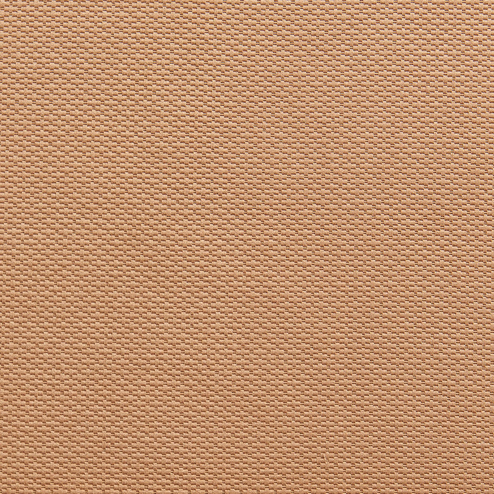 1341 Cashew by Charlotte Designer Fabric Ring Book Page #29A 55% Cotton, 45% Polyester Taiwan Exceeds 50,000 Wyzenbeek Rubs (Heavy Duty) No Repeat 54 Inches - Swanky Fabrics -